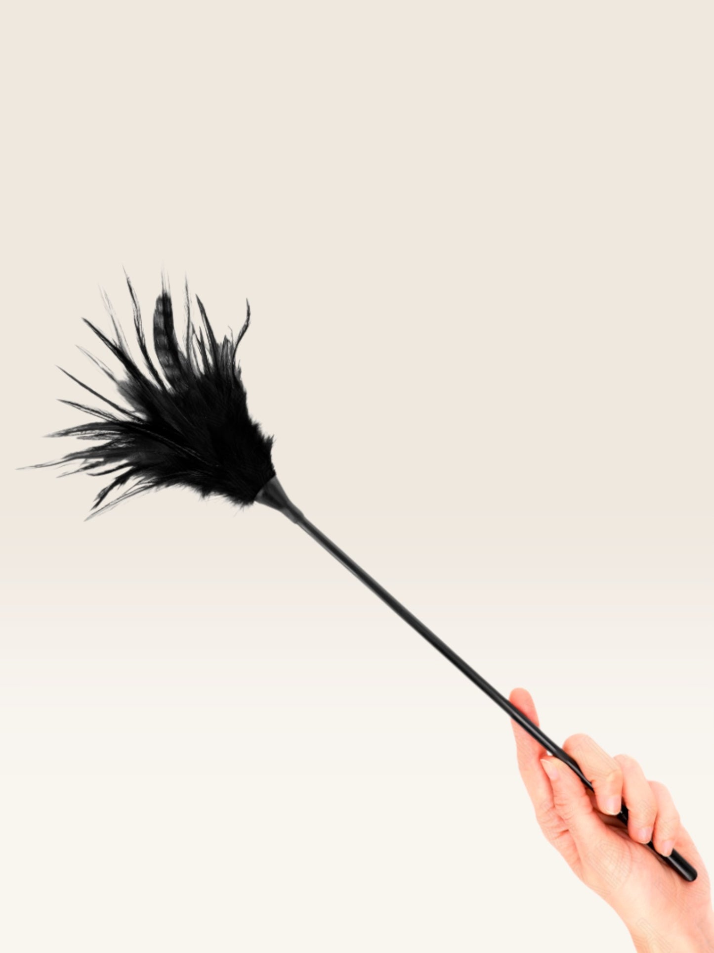 KINK - MÚLTIPLAS PENAS DE CÓCEGAS PRETAS 45 CM